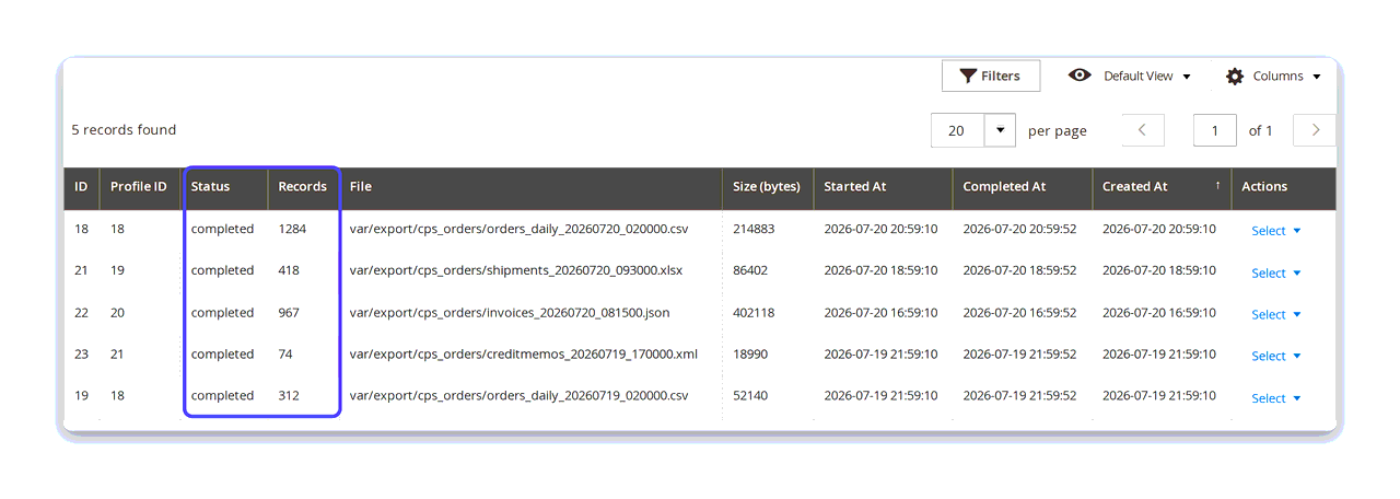 The Export History grid — completed runs with record counts, generated CSV, XLSX, JSON and XML files, byte sizes and start and completion times