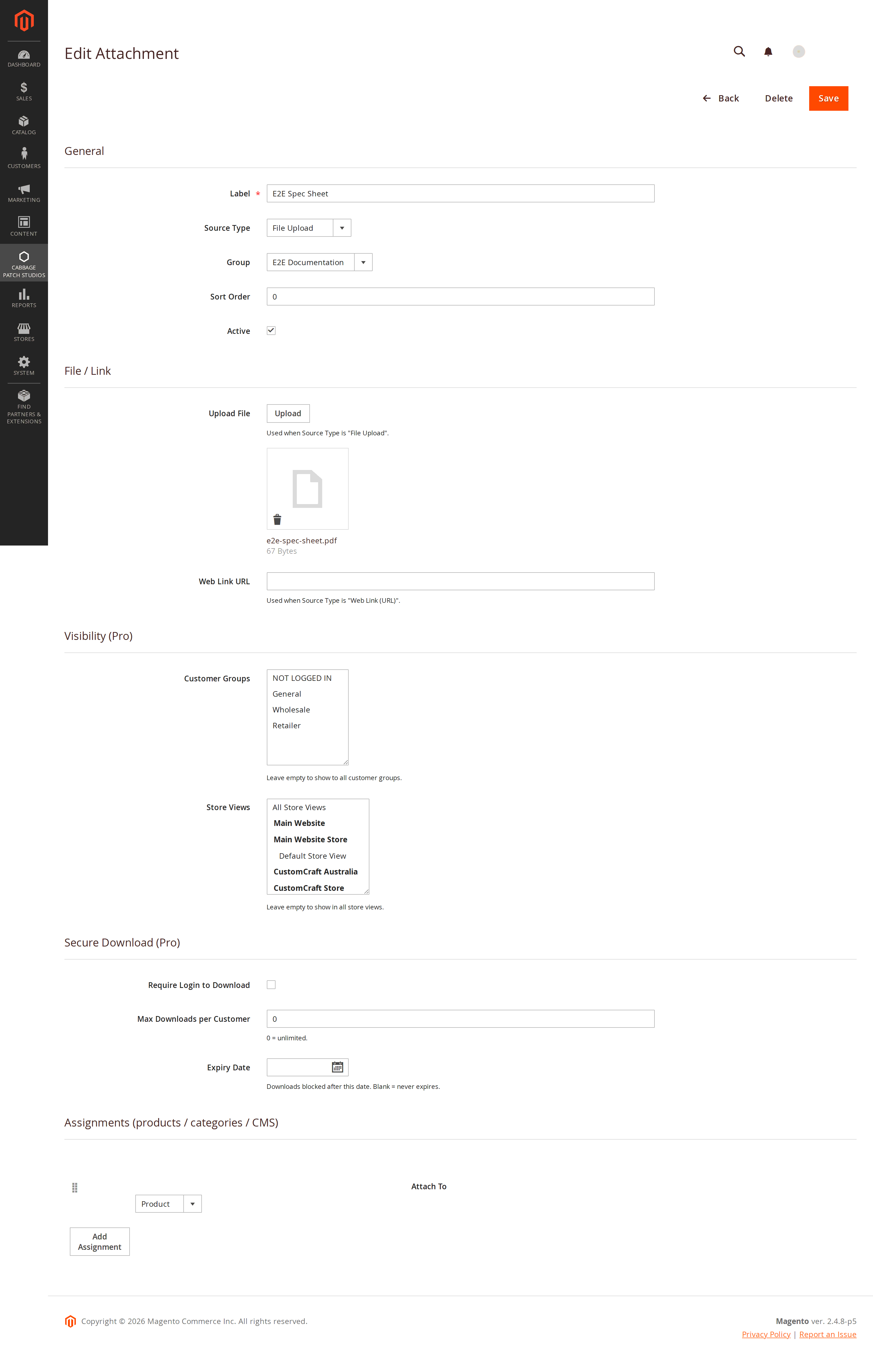 The Magento 2 admin form for an attachment, showing customer-group visibility, store-view scoping, login requirement, maximum downloads, expiry date and the list of assignments
